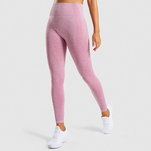 Women Seamless Exercise Leggings
