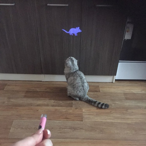 LED Pointer light Pen With Bright Animation Mouse