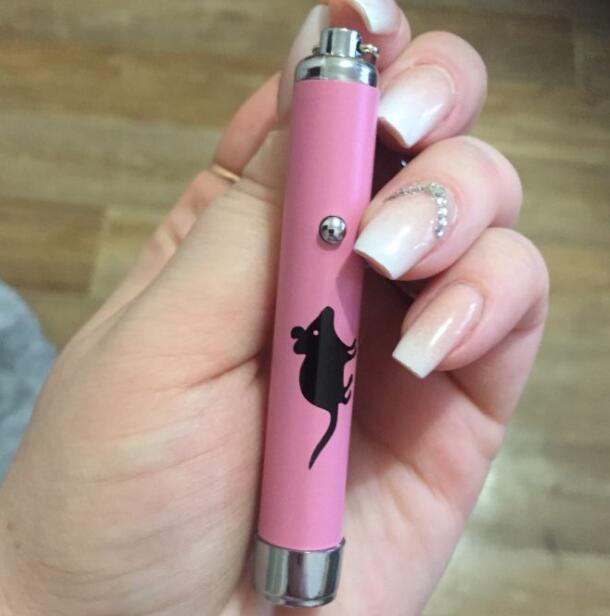 LED Pointer light Pen With Bright Animation Mouse