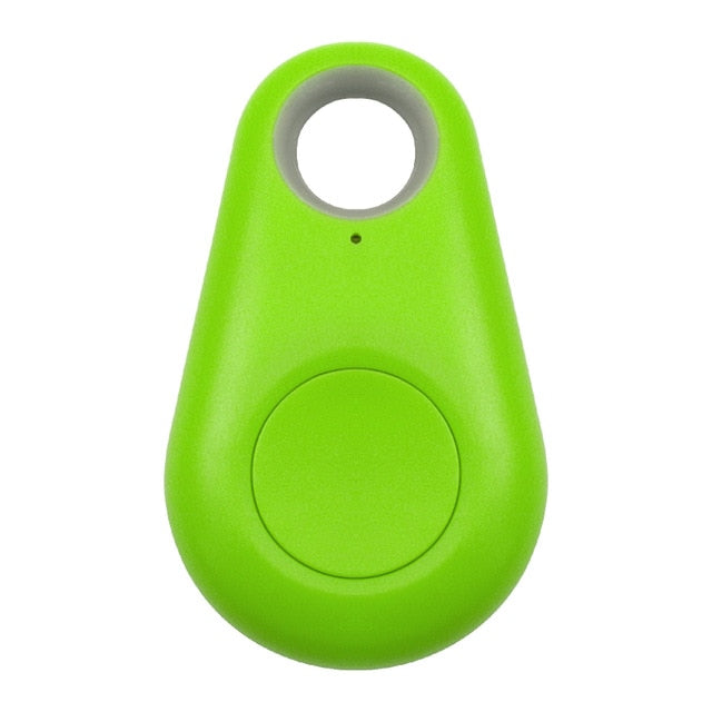 Pet Smart GPS Tracker