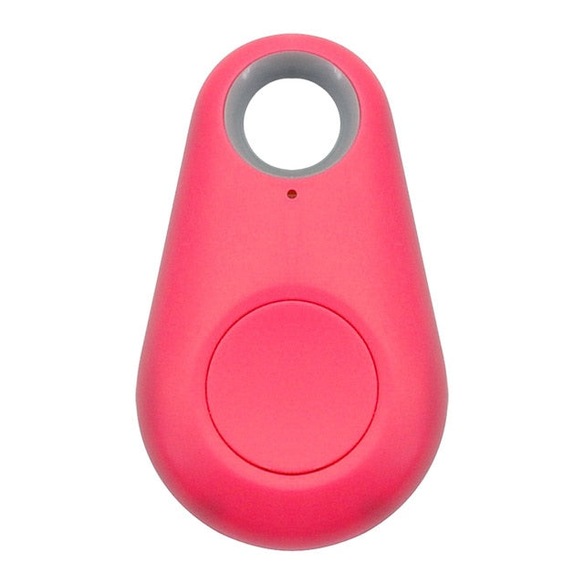 Pet Smart GPS Tracker