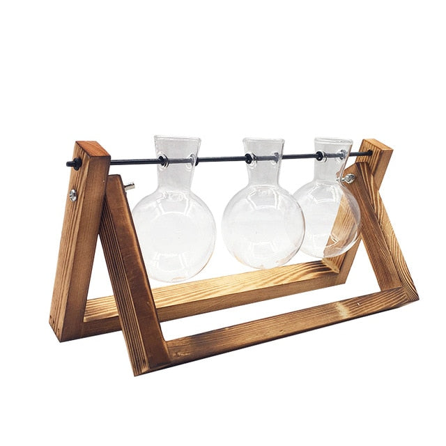 Terrarium Creative Hydroponic Plant Vase