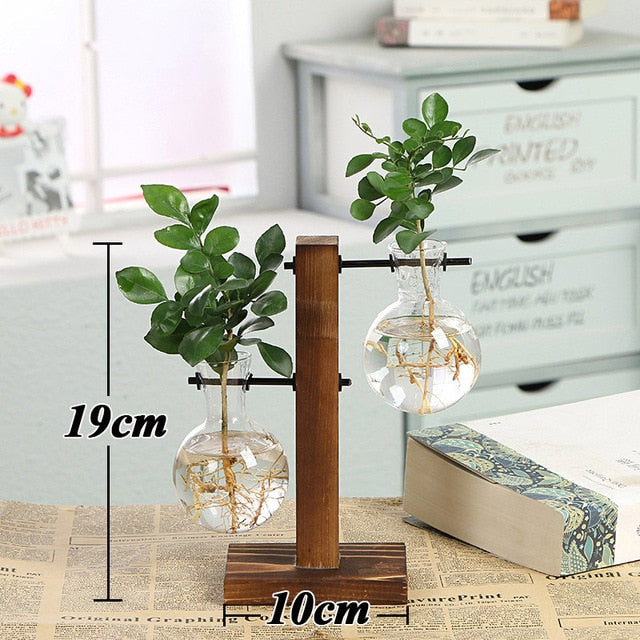 Terrarium Creative Hydroponic Plant Vase